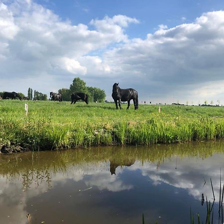 Vakantiehuis In Friesland Voor De Hele Familie Huns Bagian luar foto