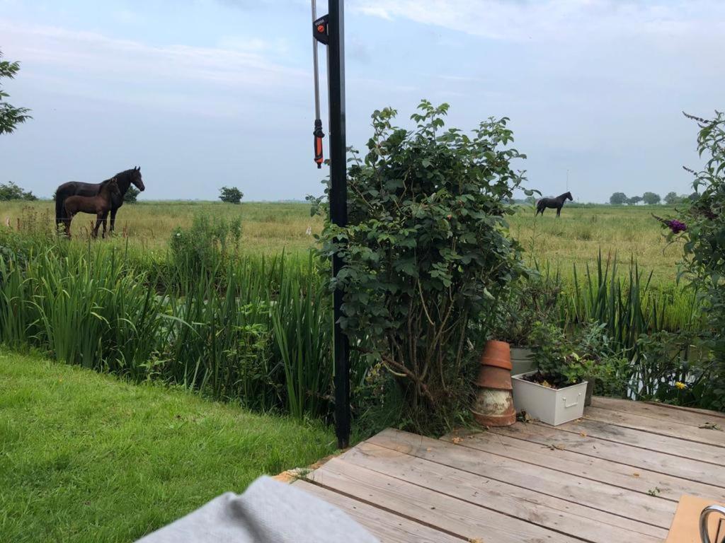 Vakantiehuis In Friesland Voor De Hele Familie Huns Bagian luar foto
