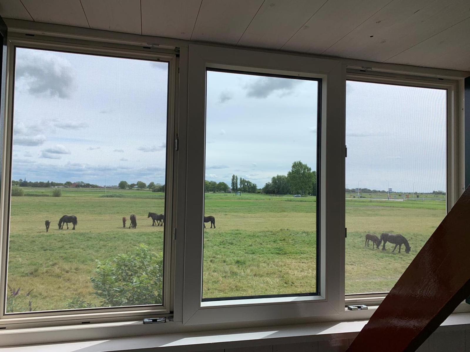 Vakantiehuis In Friesland Voor De Hele Familie Huns Bagian luar foto