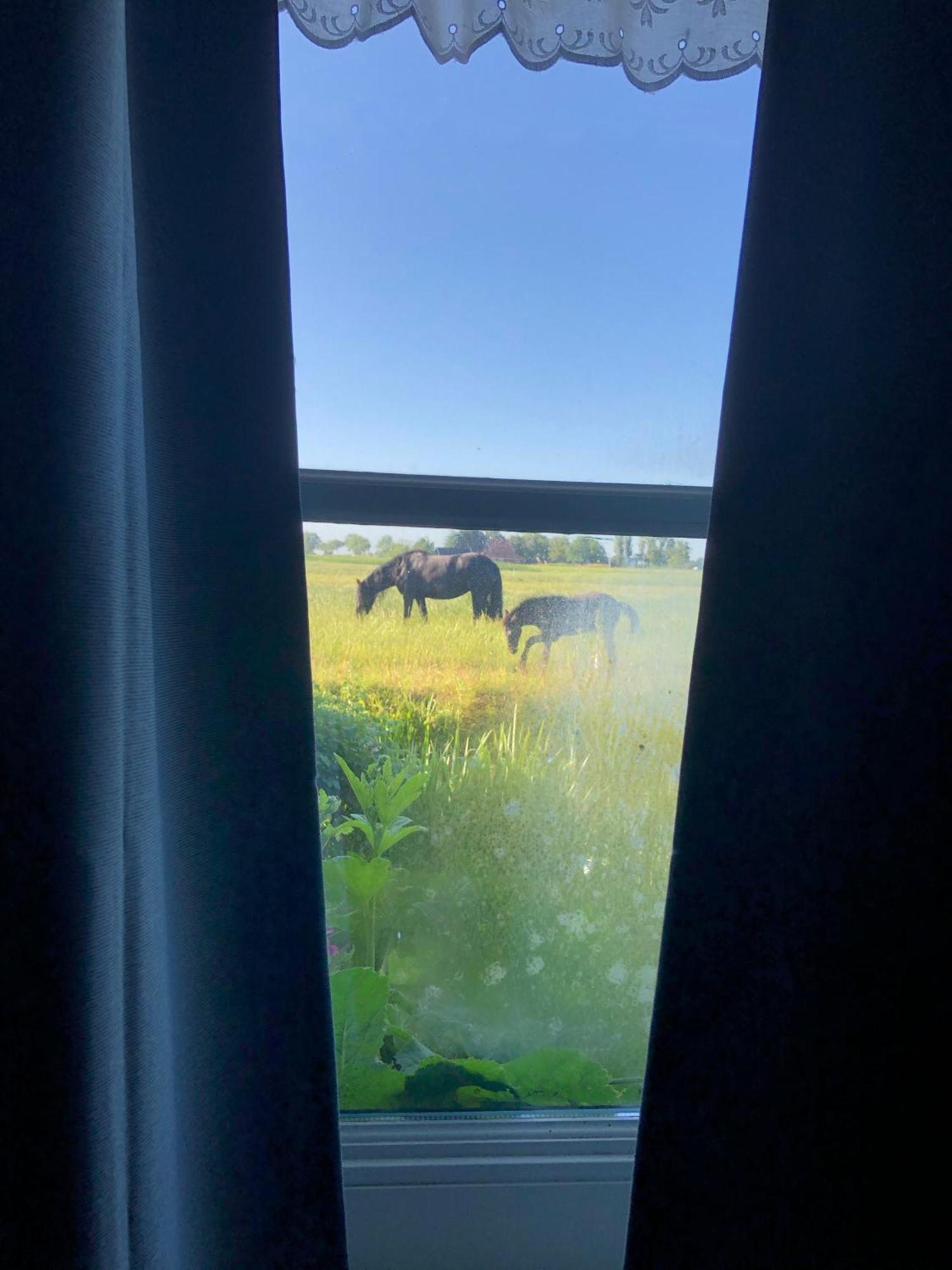 Vakantiehuis In Friesland Voor De Hele Familie Huns Bagian luar foto